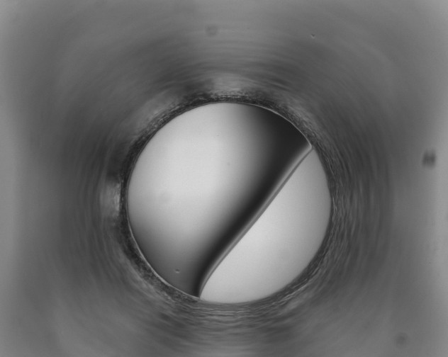 X0000090930454200707301118