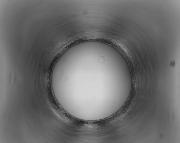 X0000090930455200707301118