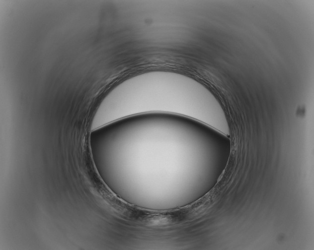 X0000090930456200707301118