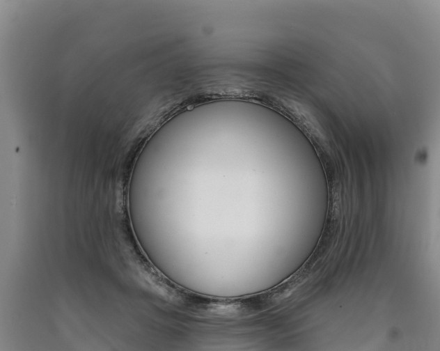 X0000090930457200707301118