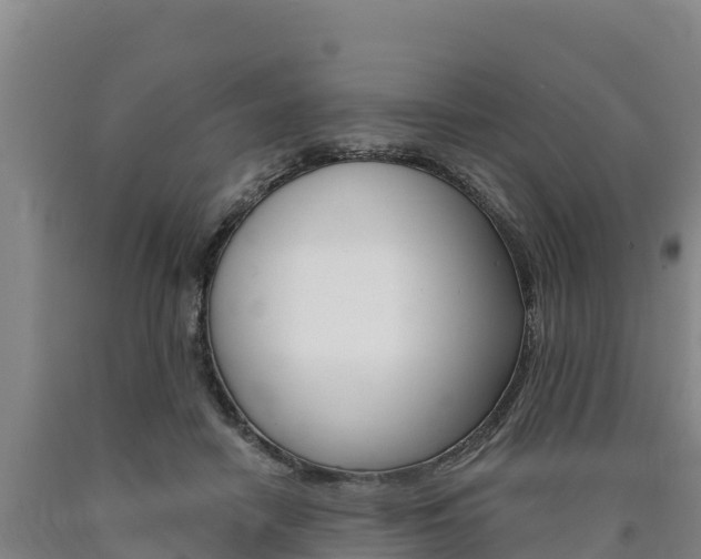 X0000090930458200707301118