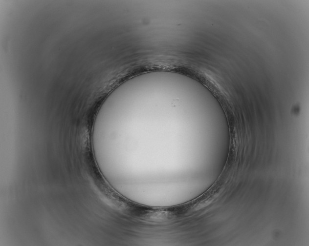 X0000090930459200707301118