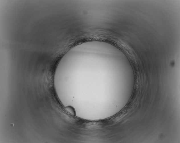 X0000090930465200707301118
