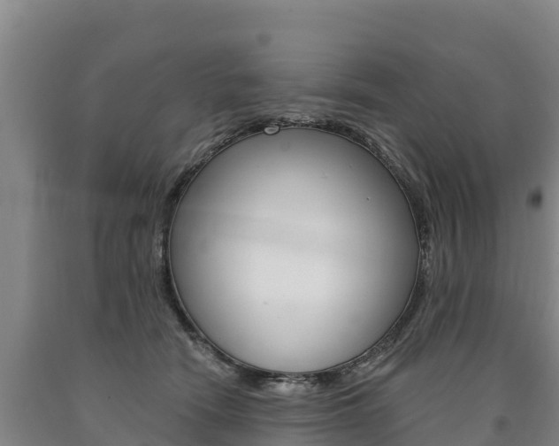 X0000090930466200707301118