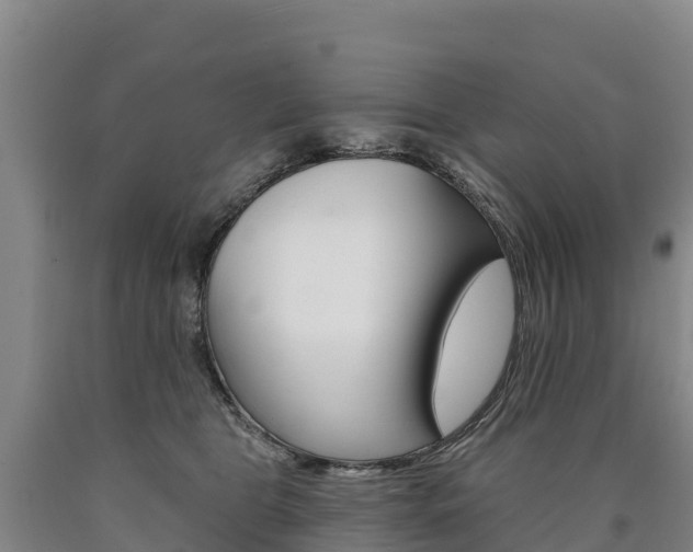 X0000090930469200707301118