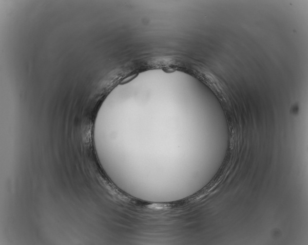 X0000090930477200707301118