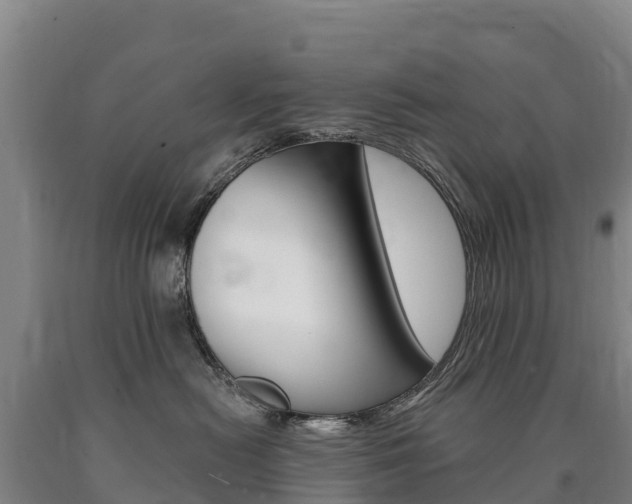 X0000090930478200707301118