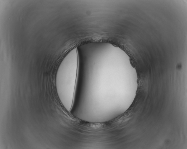 X0000090930479200707301118