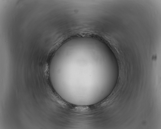 X0000090930480200707301118