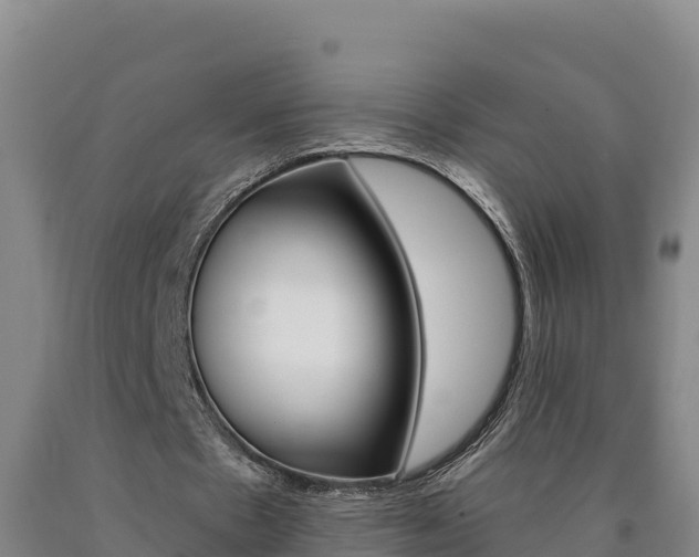 X0000090930481200707301118