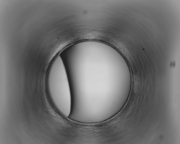 X0000090930482200707301118