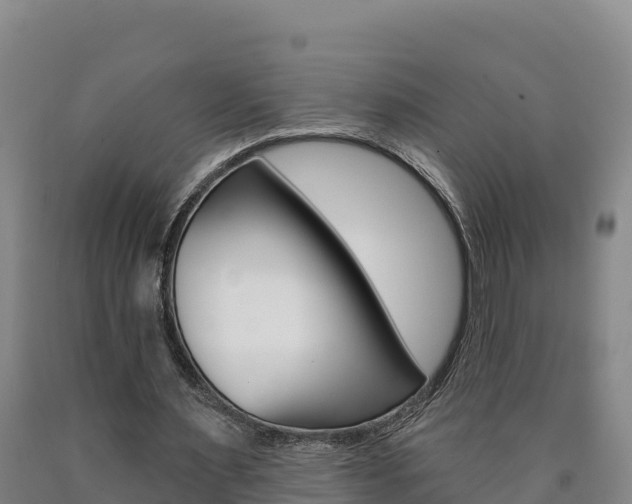 X0000090930483200707301118