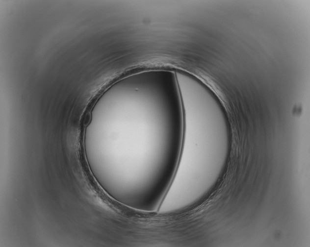 X0000090930485200707301118