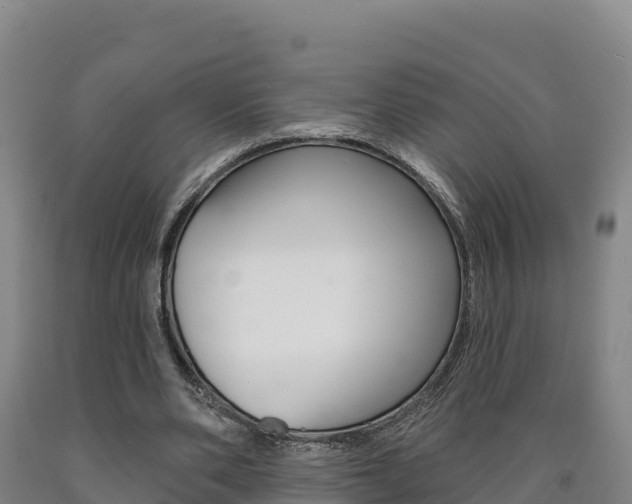 X0000090930486200707301117