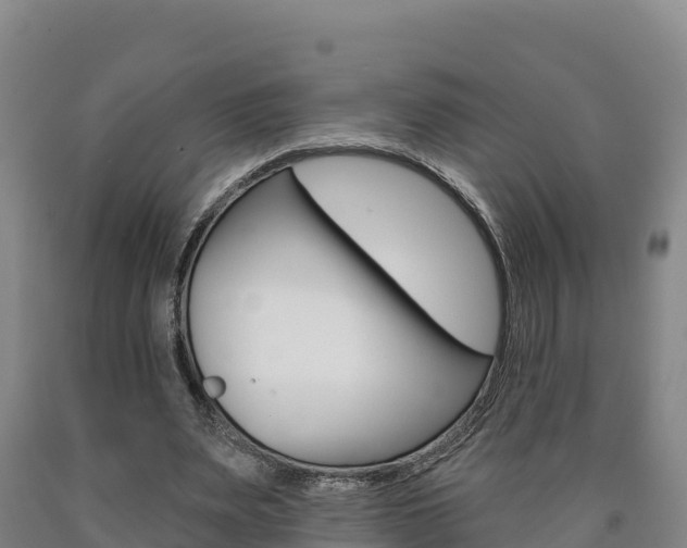 X0000090930487200707301117