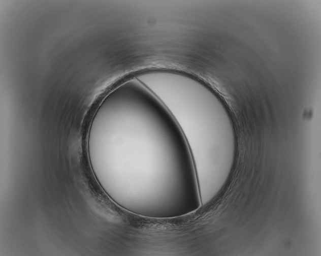 X0000090930488200707301117