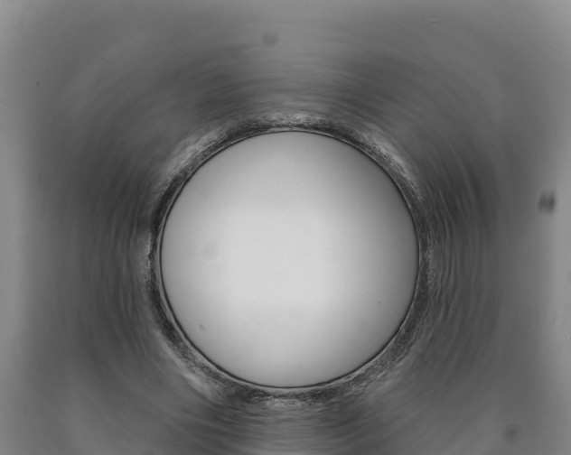 X0000090930490200707301117