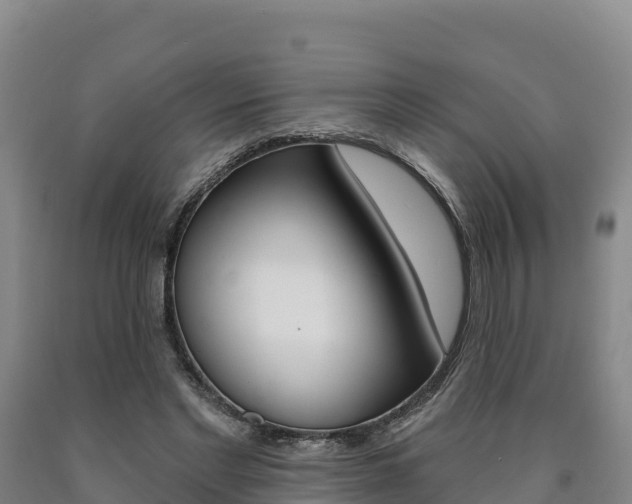 X0000090930493200707301117