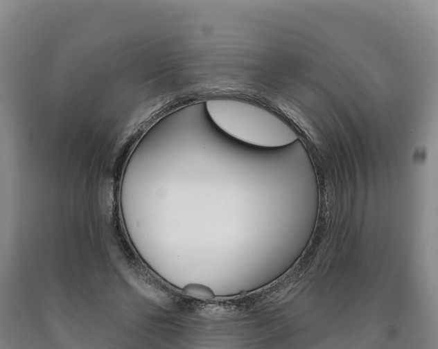 X0000090930494200707301117