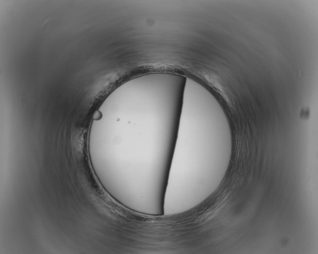 X0000090930495200707301117