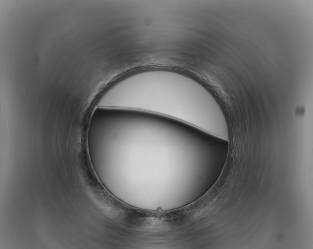 X0000090930496200707301117