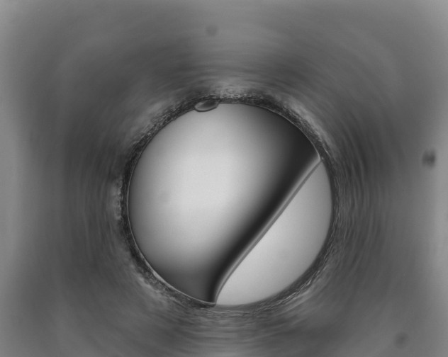 X0000090930497200707301117