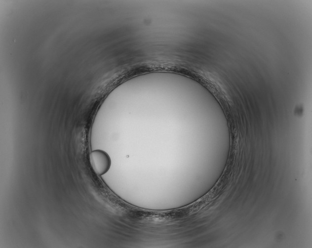 X0000090930498200707301117