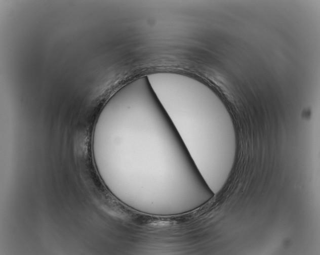 X0000090930499200707301117