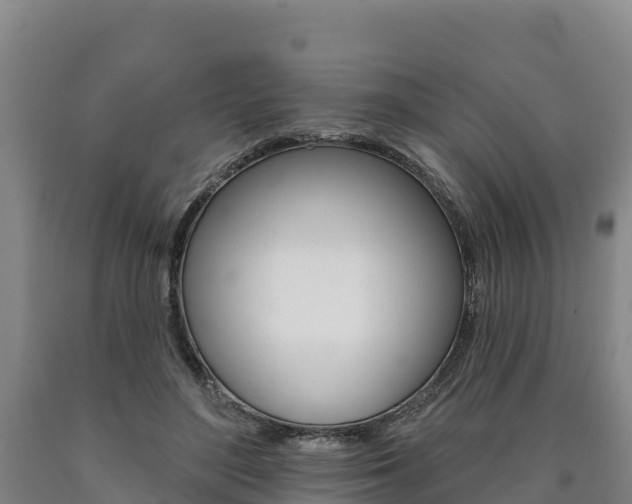 X0000090930500200707301117