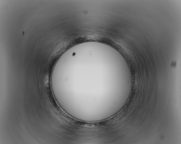X0000090930502200707301117