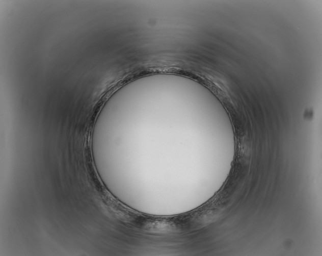 X0000090930503200707301117