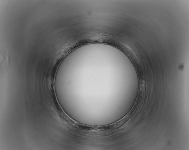 X0000090930504200707301117