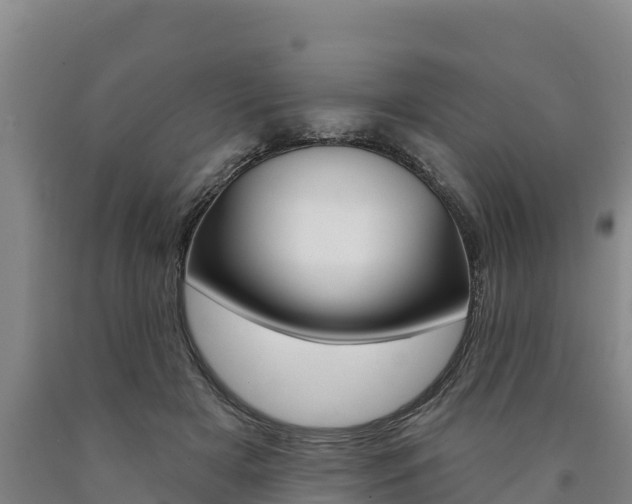 X0000090930505200707301117