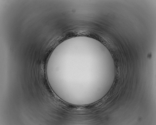 X0000090930506200707301117