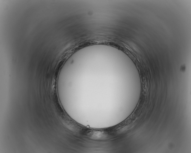 X0000090930507200707301117
