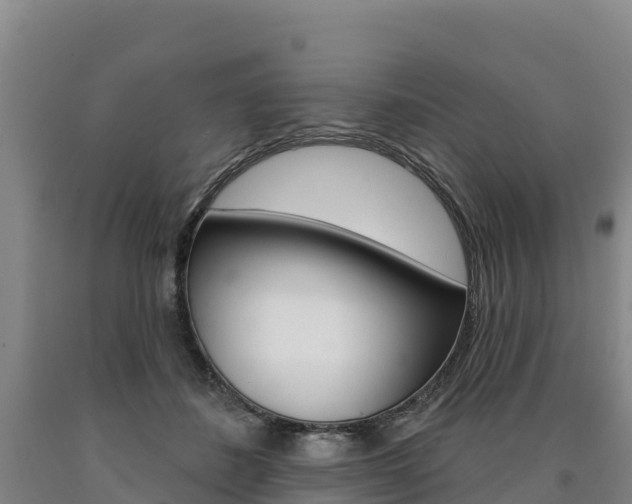 X0000090930508200707301117
