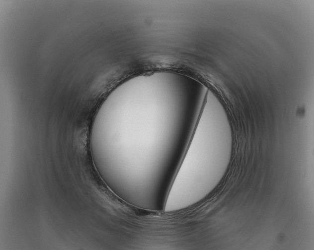 X0000090930509200707301117