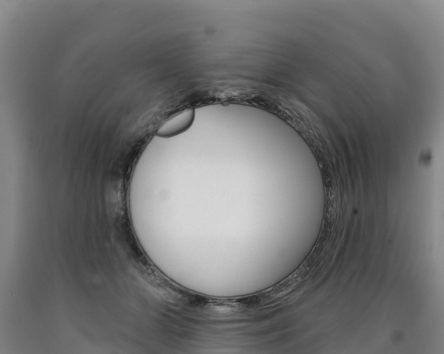 X0000090930510200707301117