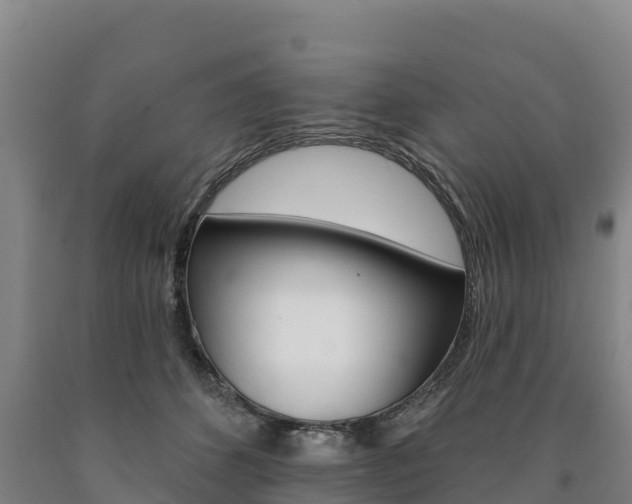 X0000090930512200707301117