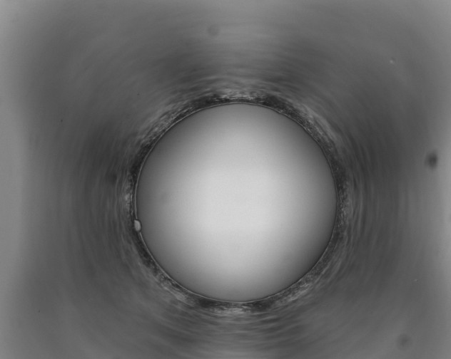 X0000090930513200707301117