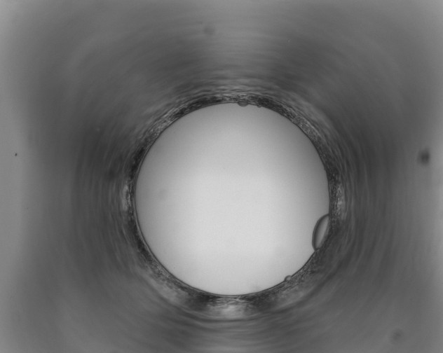 X0000090930514200707301117