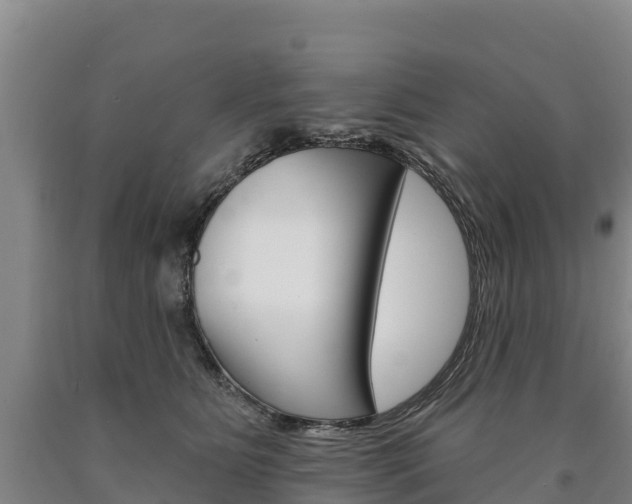 X0000090930515200707301117