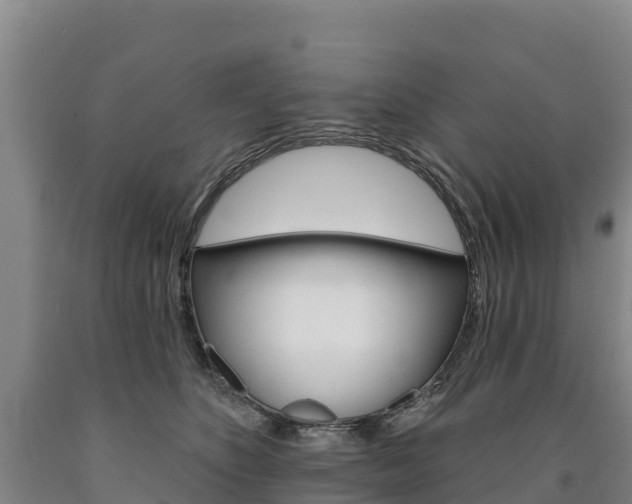 X0000090930516200707301117