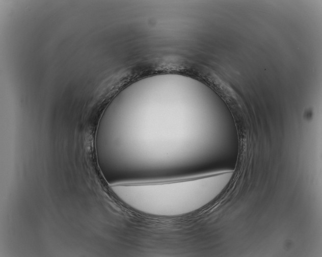X0000090930517200707301117