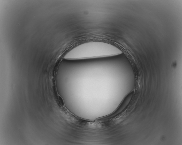 X0000090930520200707301117