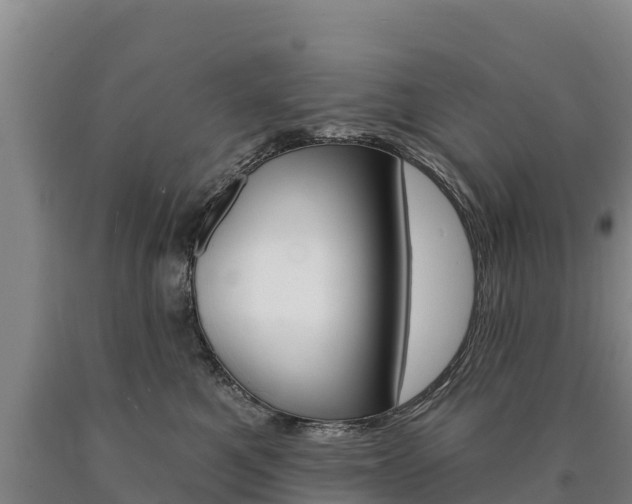 X0000090930521200707301117