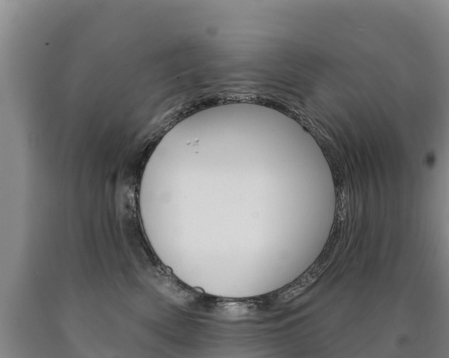 X0000090930522200707301117