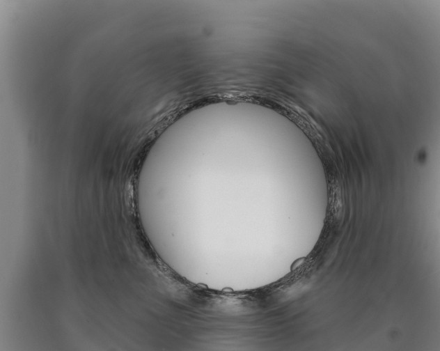 X0000090930523200707301117