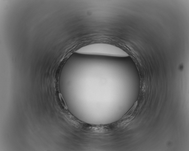 X0000090930524200707301117