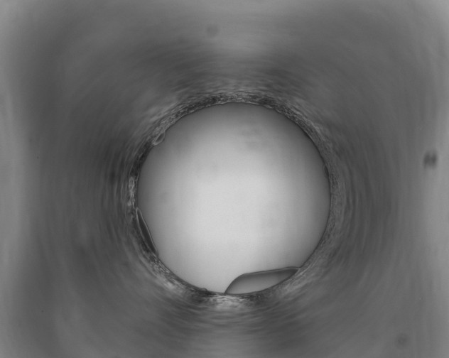 X0000090930528200707301117